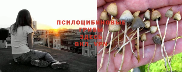 синтетический гашиш Беломорск