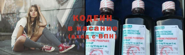 трава Белокуриха