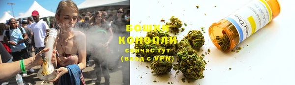 трава Белокуриха