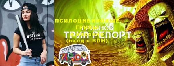 трава Белокуриха