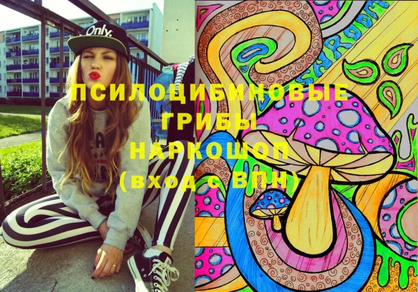 трава Белокуриха